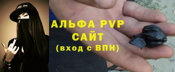 мет Алексин