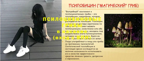 мет Алексин