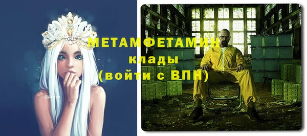мет Алексин