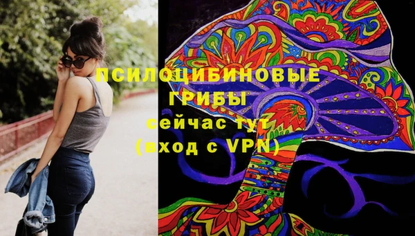 мет Алексин