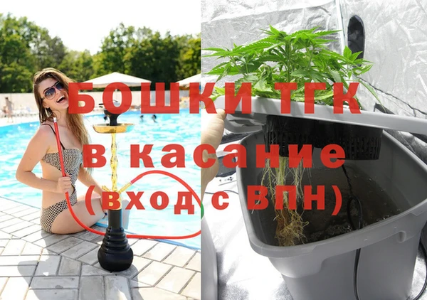 мет Алексин